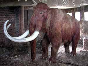 Zdařilá atrapa již dávno vyhynulého mamuta