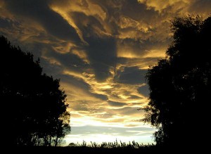 Asperatus nad Novým Zélandem