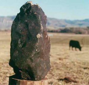 Meteority zabíjely i dobytek