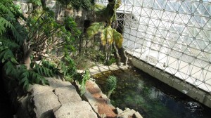 Jeden ze skleníků Biosféry 2 ukrývá malé moře a tropický les.