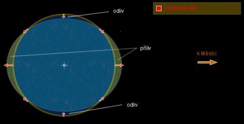 Slapové výdutě způsobené Měsícem. Zdroj: http://planety.astro.cz