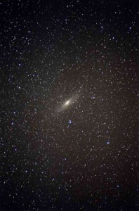 M31